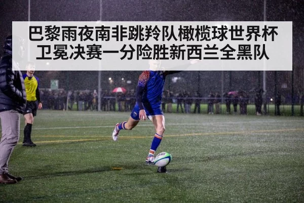 巴黎雨夜南非跳羚队橄榄球世界杯卫冕决赛一分险胜新西兰全黑队